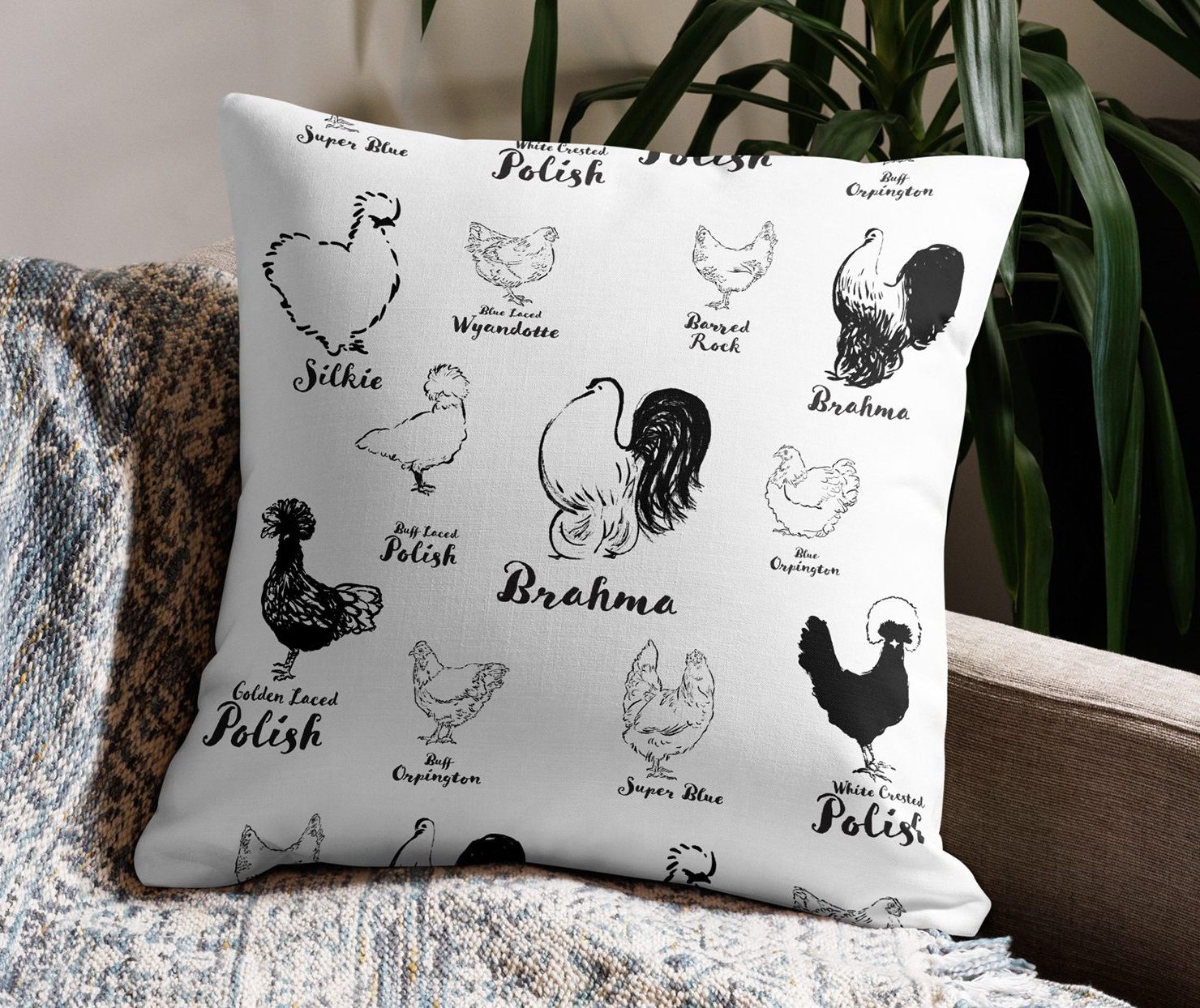 Chicken Breed Illustrations